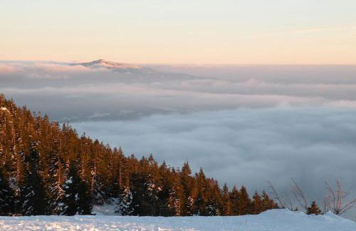 Ferienwohnung Völkl - Foto 24