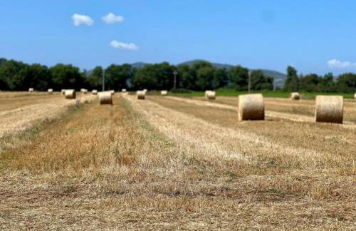 Apartment in Umbria With Garden - Photo 62