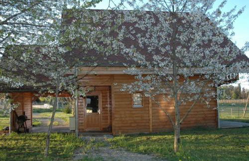 Chalet indépendant avec jardin et accès piscine près de St Pourçain - FR-1-489-151 - Foto 11