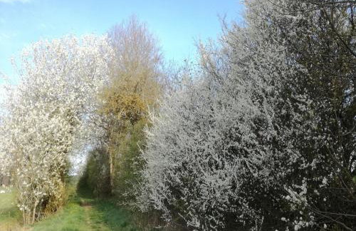 Ferienwohnung Leute - Foto 23