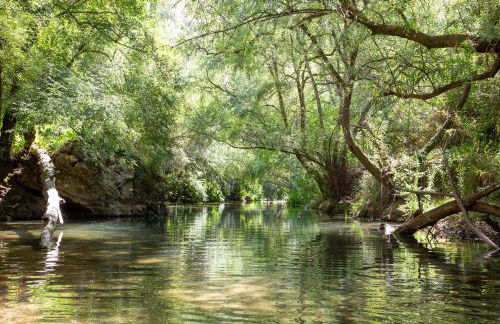 Casalinho in Portugal - Country House - Foto 36