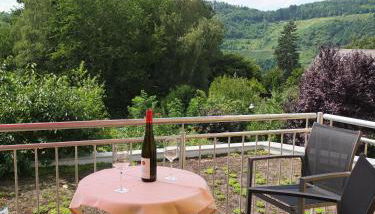 Bioweingut Brohl - Photo 5