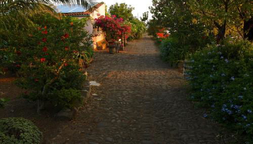 Agriturismo Hibiscus - Foto 2, Garden