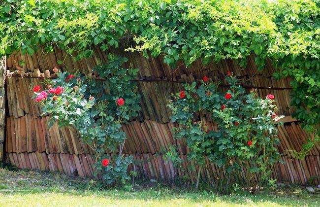 Podere Agrituristico Luchiano - Foto 51