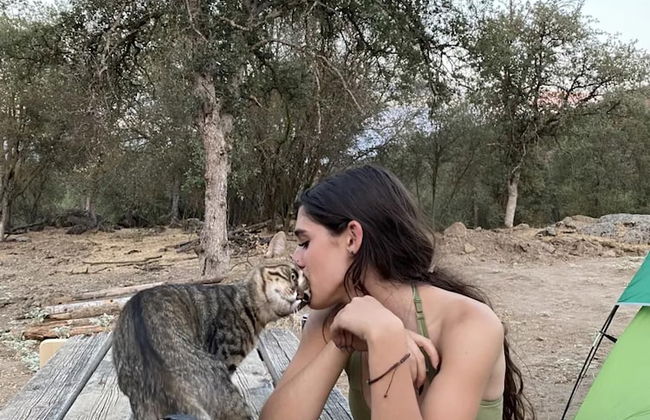 Off-grid 1-bed Cabin in Yokuts Valley - Foto 23