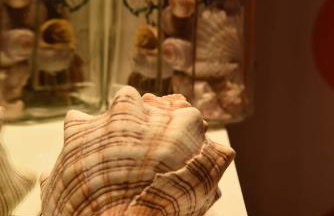 Village Villas - Foto 105