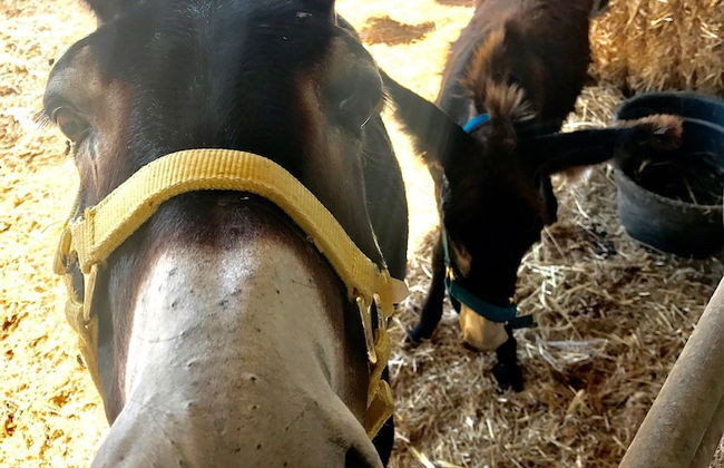 Ca Na Nina - Photo 46