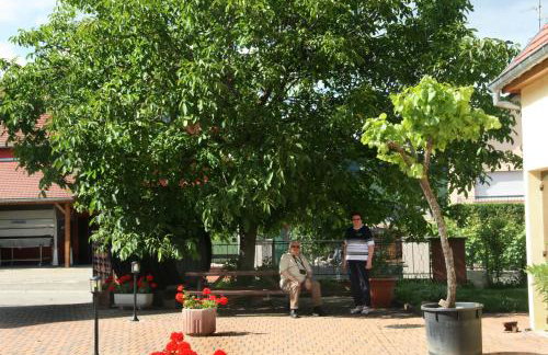 Gites Les Cépages - Foto 27