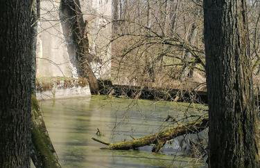 Wyciszek - mazurska agroturystyka - Foto 79