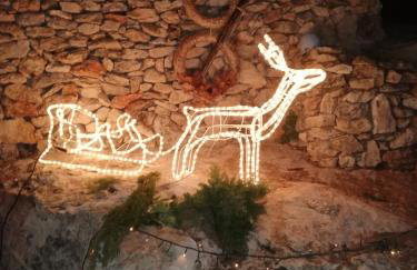 Apartment Pilatus Ošljak - Photo 28