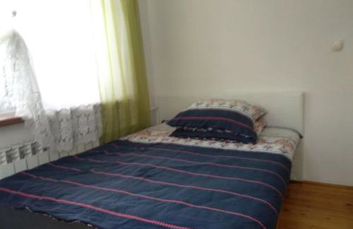 Dom z ogrodem w malowniczej okolicy Bieszczady - Foto 18