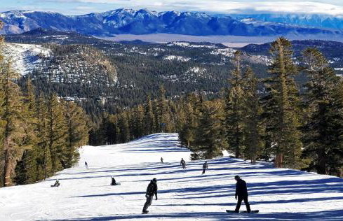 The Mammoth House - Photo 16