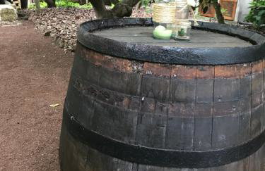 Finca El Vergel Rural - Foto 9