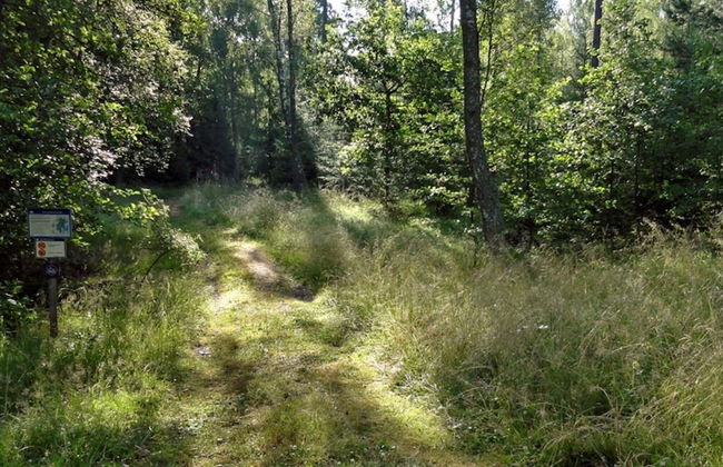 7 Person Holiday Home in Nynashamn - Foto 10