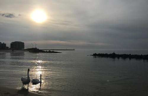 Apartament Morski 44 - Foto 36