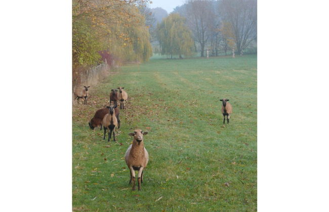 Holiday Apartment Krote 5 - Foto 16