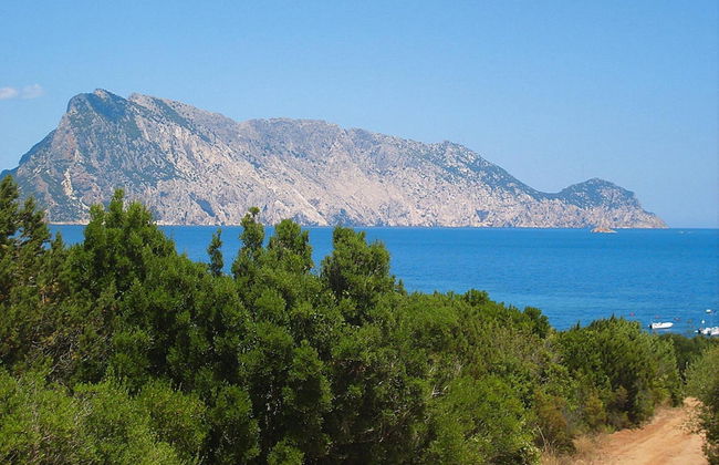 Apartment in Monte Petrosu Near San Teodoro - Foto 23