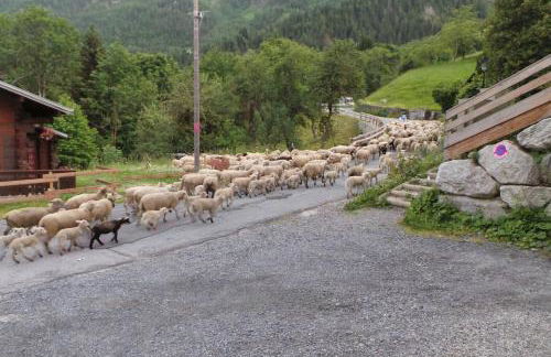 Spacious and stylish flat at the foot of the Mont-Blanc ideal for ski in ski out - Foto 18