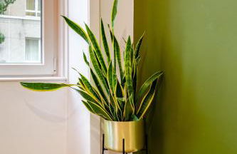 Newly Furnished Flat 4 Minutes Walk To Metro - Foto 16