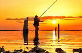 Exclusivo Chalet a Pie de Costa - Foto 54