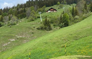 Appartement cosy au pied des pistes - Foto 19