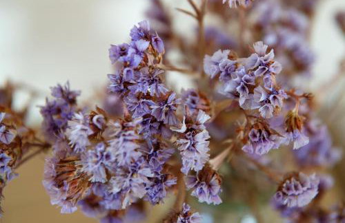 Villa Pasithea - Foto 73