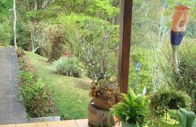 Vale das Estrelas - vale das videiras - araras - Foto 40