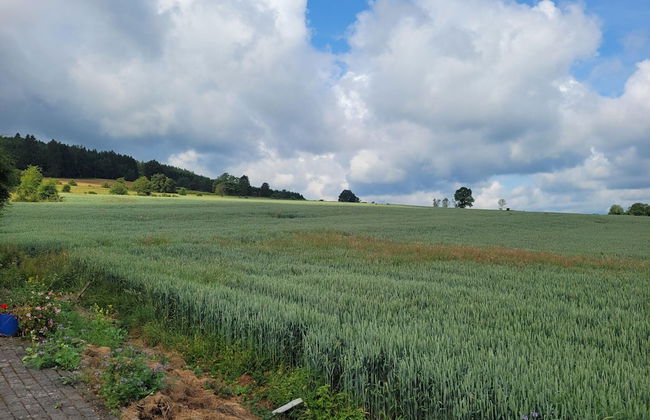 Holiday Home With Garden - Photo 32