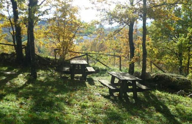 Le Coccole - Foto 46