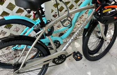 Coastal Oasis Of Lantana - Foto 34