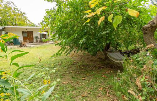 Elena's Apartment in Therma Samothrace - Foto 17