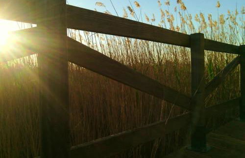 Charming House in Rada with Fenced Garden - Foto 72