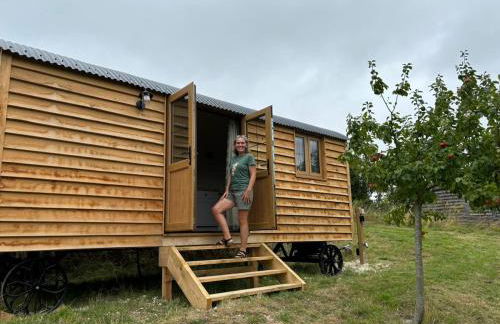 Owls Nest - Shepherds Hut Alfriston - Foto 6