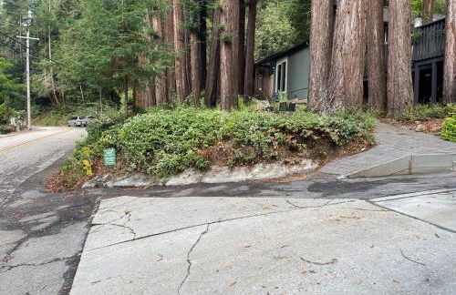 Private Redwood View Suite Near San Cruz Beaches - Foto 16