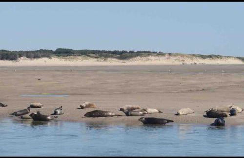 Belle maison berckoise rénovée - LM la plage - Foto 29