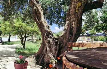 Olivo Apartment - Foto 4