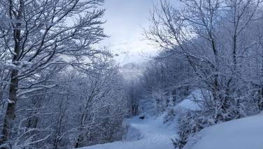 Eco Home - Val di Luce - Foto 4