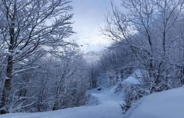 Eco Home - Val di Luce - Foto 4