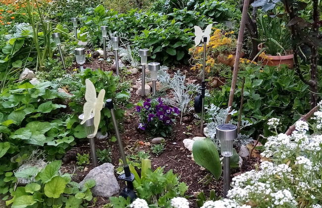 Apartments Vanja Škara Biograd - Foto 41