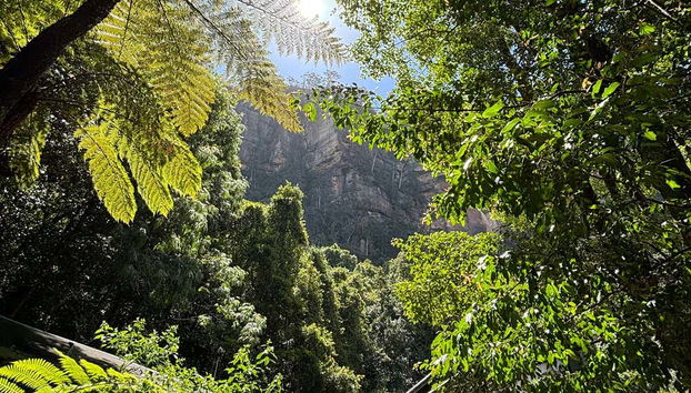 Excursão privada às Blue Mountains - Foto 2