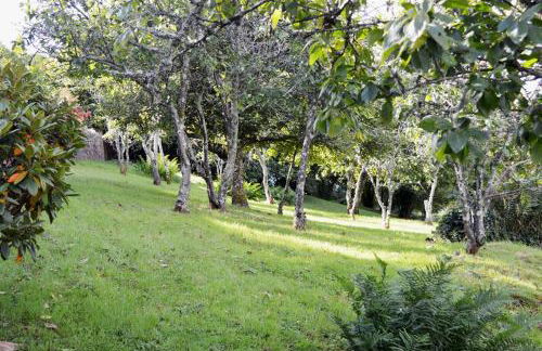 Thornwell Cottage - Heart of the village, amazing gardens, glorious views and brimming with character - Foto 15