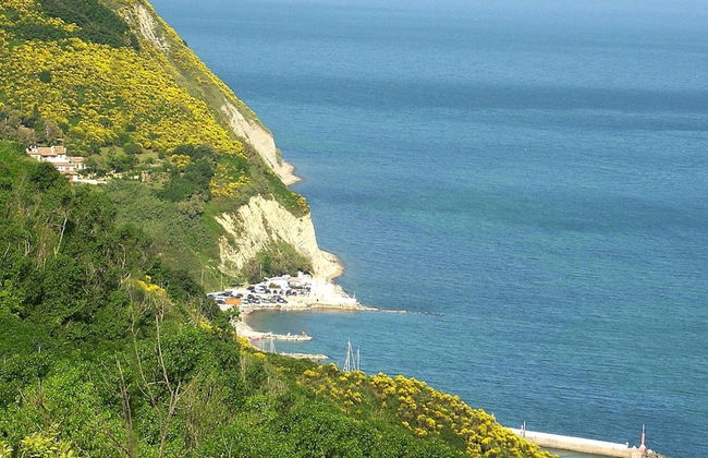 Casa by Sea in a Quiet Cove - Photo 14