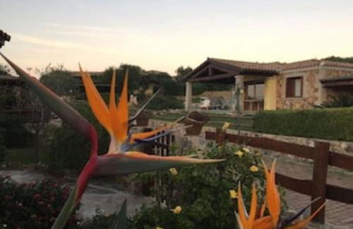 Bellissima villa Alessandra grande piscina privata giardino BQ posto auto - Foto 20