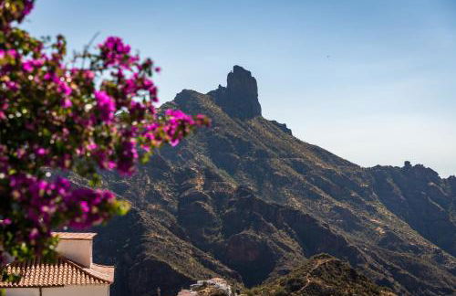 Vivelorural Casa Pepe vistas a la montaña, Tejeda - Foto 54