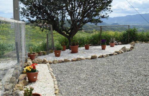 Mount Tatum - Foto 32