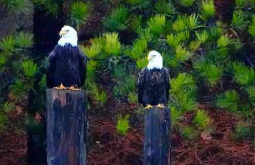 Minutes from Lookout Pass & Silver Mountain - Foto 46