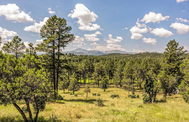 Painted Horse Retreat - Foto 23