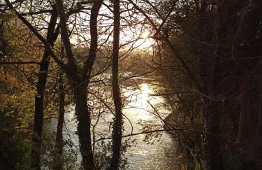 LA CAPILLA - Foto 19