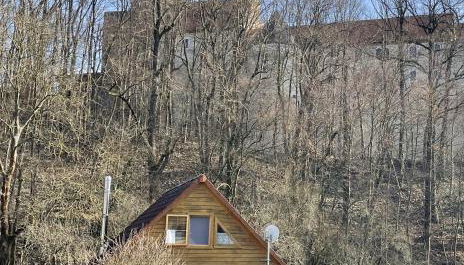 Garten Eden - Foto 5