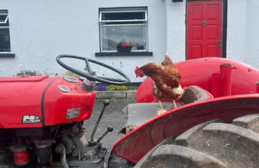 Campbell's Cottage - Foto 15